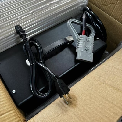 Kualitas tinggi ESCH Seri 24V 15A Forklift baterai pengisi dengan ventilator pendingin diam